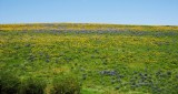 06 June 2014 190-edited 2.jpg