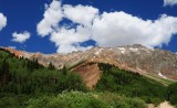The Tree Line