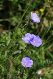 07 July 2014 0778-edited.jpg