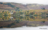 Bonnie Scotland
