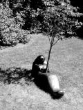 Sarah Haviland - Tree of Inner Necessity, 1995
