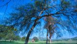 prather california