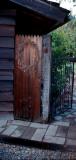 mikes backyard, Clovis California