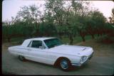 WYK CAR - 1964 Ford Thunderbird