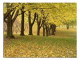 Fall 2004