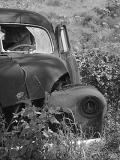 Rusted Dreams by kudbegud