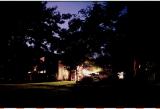 Texas Fire Flies