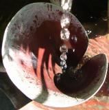 fountain