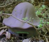 hmm . . . mouse house?