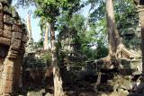 038 - Ta Prohm