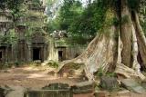 042 - Ta Prohm