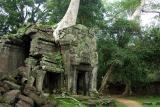 044 - Ta Prohm