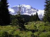 Seattle Park (RN)
