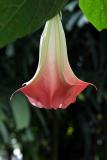 Fairchild Gardens 2129.jpg