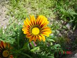 Hot Day 022.jpg