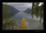 Lustrafjorden