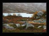 near Stryn,rainy afternoon