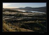 Dovrefjell