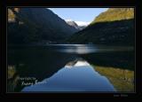 near Odda