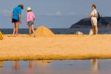 Sandcastle at North Curl Curl