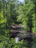 Between Peachtree City and Newnan, Georgia