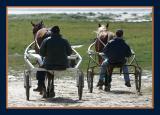 Horse training in Les Genéts
