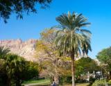 Dead sea - Kibbutz Ein Gedi 13.jpg