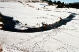 January 2005