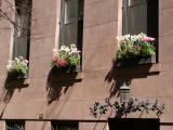 Flower Boxes