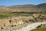 Wadi Hasa