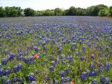 Field off 927