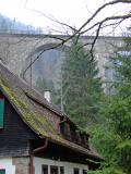 Black Forest of Germany