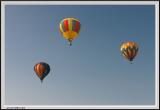 Balloons Three - 1089_filtered copy.jpg