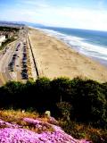 Beach from Sutro Park in San Francisco
