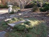 Memorial plaque and ground cover