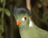 Unknown_0173.JPG