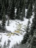 A frozen lake
