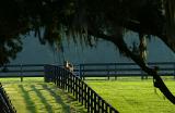 x0564_Fences 8.jpg