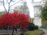 Toddlers Play Area, Burning Red Bush & Side View of the Arch