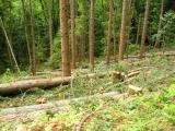 More Logging