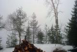 Winter is leaving