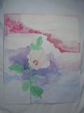 Tulip Tree Blossom (watercolor, c. 1986, 15 x 18)