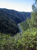 The River!