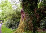 Possible leprechaun sighting in Killarney