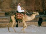 Transportation of a Different Breed