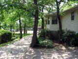 Tom's Back Yard