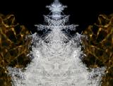 PHOTOGRAPHISME