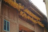 Miao village
