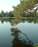 September 20: Henley Park Lake (2)