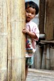 Behind Bamboo Wall, Chiang Mai Province